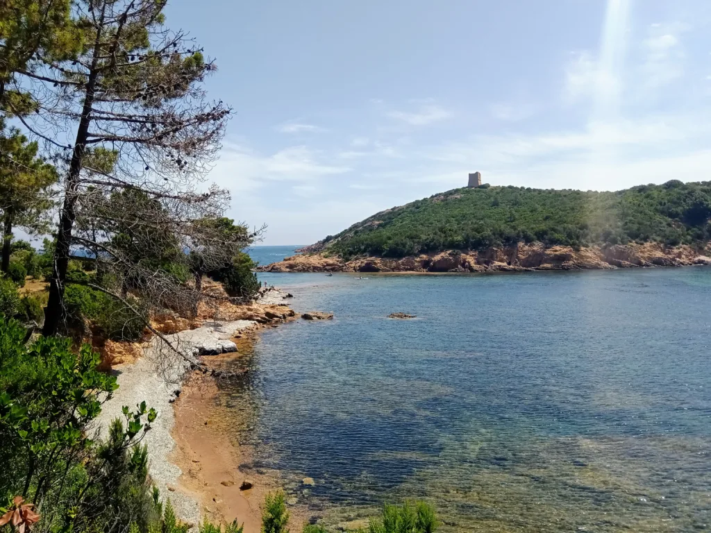 Île de Pinarellu vue du rivage