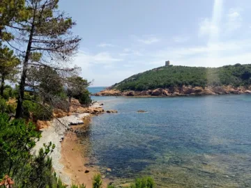 Île de Pinarellu vue du rivage