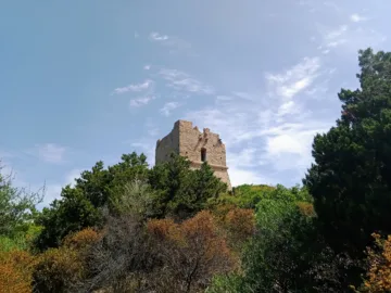 Tour génoise de Pinarellu sur son île, vue depuis la plage